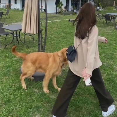 摸心第六感